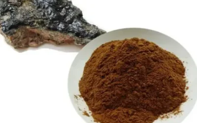 Shilajit