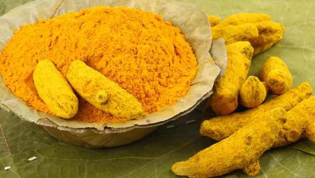 Berberine Hydrochloride Extract